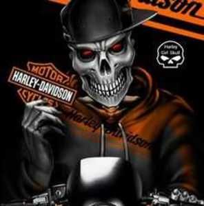 Meet your Posher, Harley